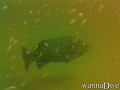 foto de buceo
