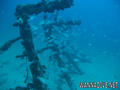 foto de buceo