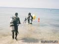 foto de buceo