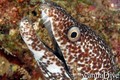 foto de buceo