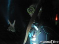 foto de buceo
