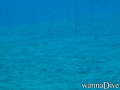 foto de buceo