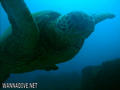 foto de buceo