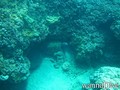 foto de buceo