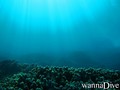 foto de buceo