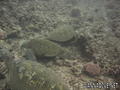 foto de buceo