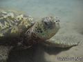 foto de buceo