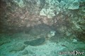 foto de buceo