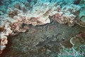 foto de buceo