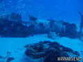 foto de buceo