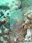 foto de buceo