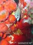 foto de buceo
