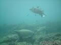 foto de buceo