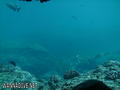 foto de buceo