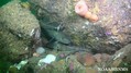 foto de buceo