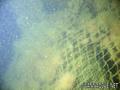 foto de buceo