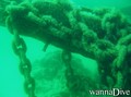 foto de buceo