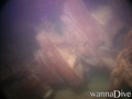 foto de buceo