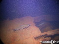 foto de buceo