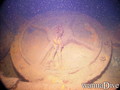 foto de buceo