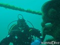 foto de buceo