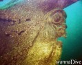 foto de buceo