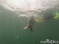foto de buceo