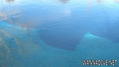 foto de buceo