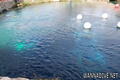 foto de buceo