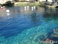 foto de buceo