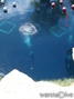 foto de buceo