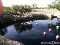 foto de buceo