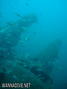 foto de buceo