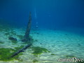 foto de buceo