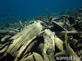 foto de buceo