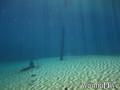 foto de buceo