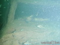 foto de buceo