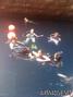 foto de buceo