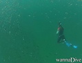 foto de buceo
