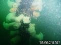 foto de buceo