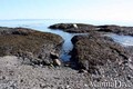 foto de buceo