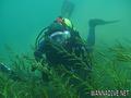 foto de buceo