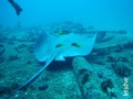 foto de buceo