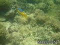 foto de buceo