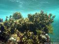 foto de buceo