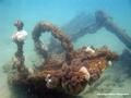 foto de buceo