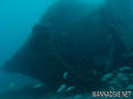foto de buceo