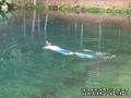 foto de buceo
