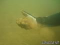 foto de buceo