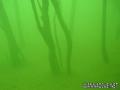foto de buceo
